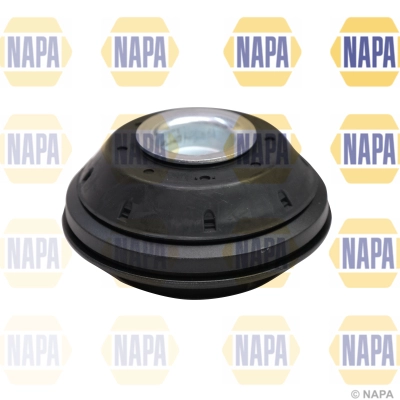 NKM1091