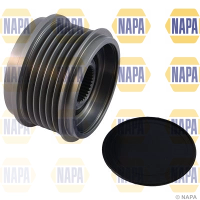NOP1116