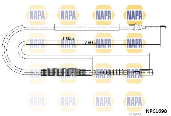 NPC1698