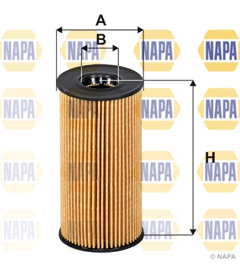 NFO3250