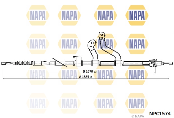 NPC1574