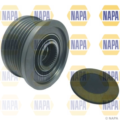 NOP1125