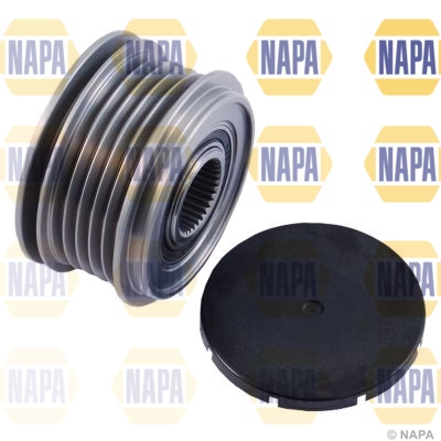 NOP1119