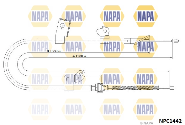 NPC1442