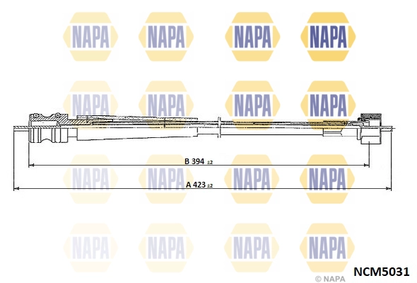 NCM5031