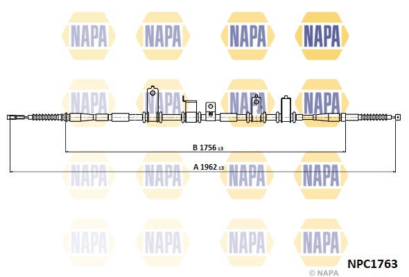 NPC1763