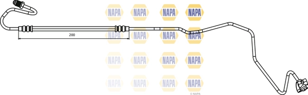 NBH1131