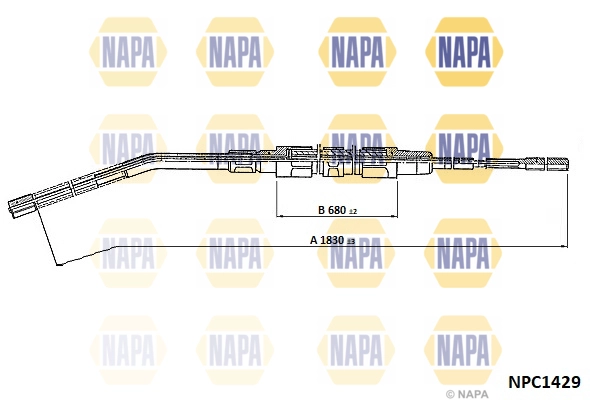 NPC1429