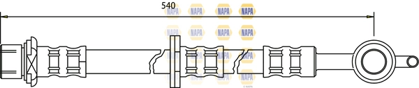 NBH1116