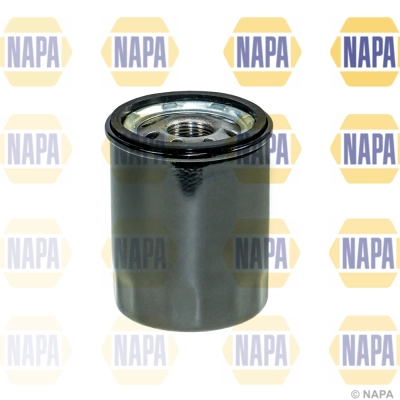 NFO3175