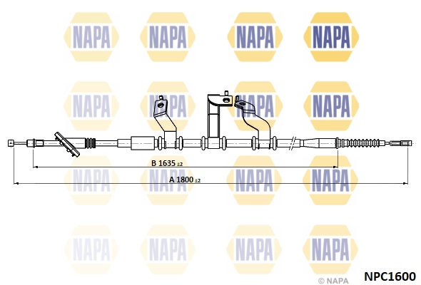 NPC1600