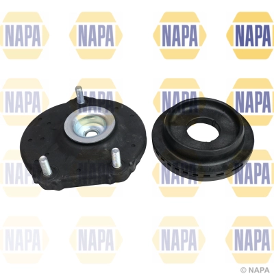NKM1009