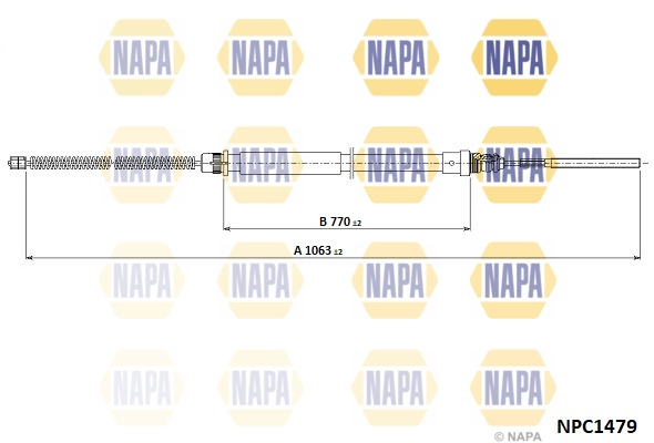 NPC1479