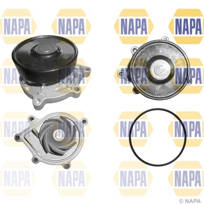 NWP1112