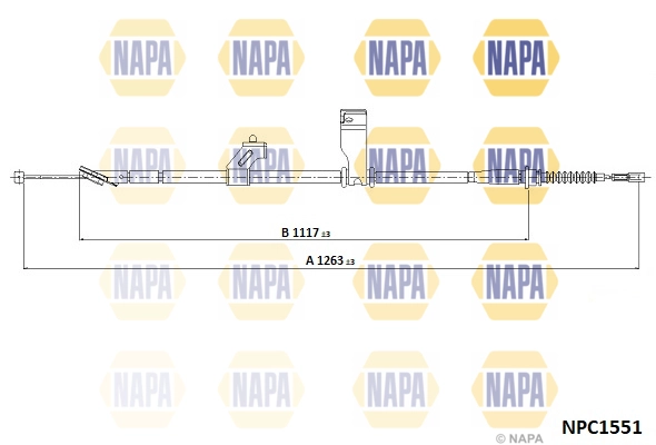 NPC1551
