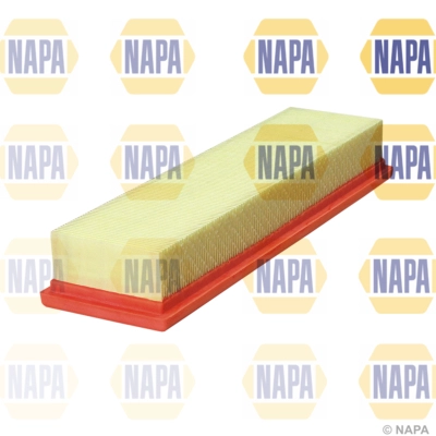 NFA1234