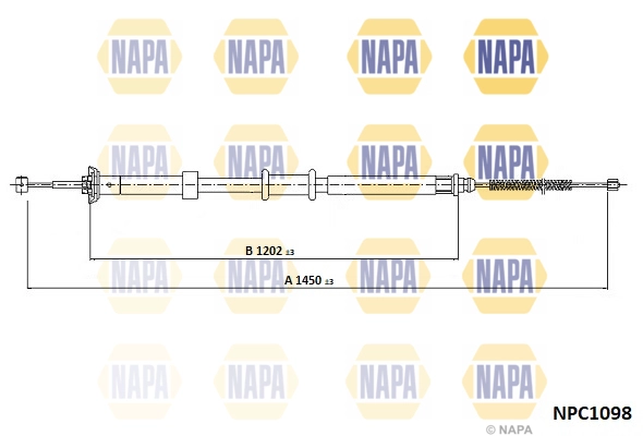 NPC1098
