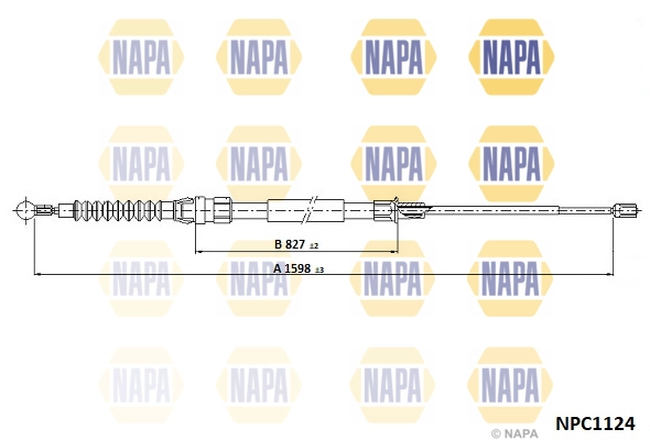 NPC1124