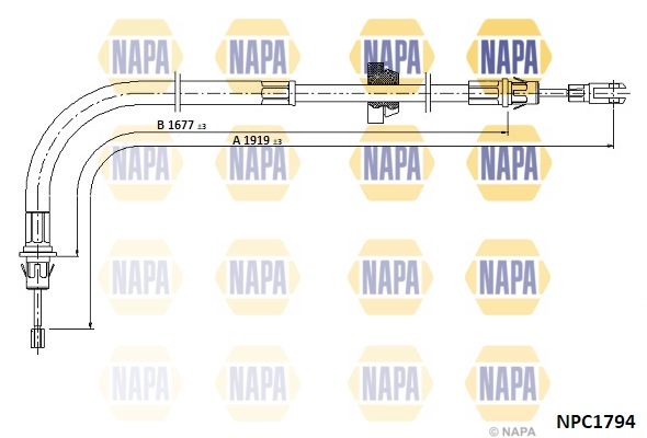 NPC1794