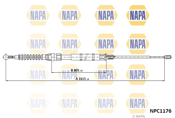 NPC1176