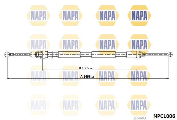 NPC1006