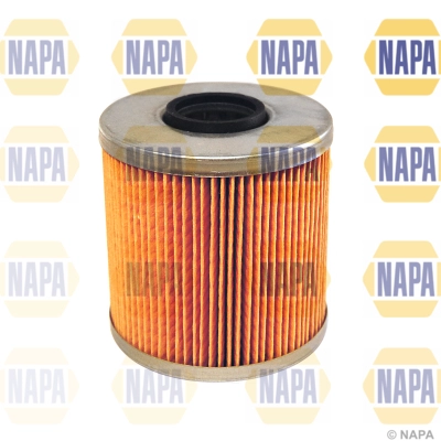 NFO3219