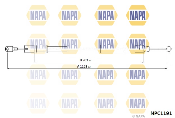 NPC1191