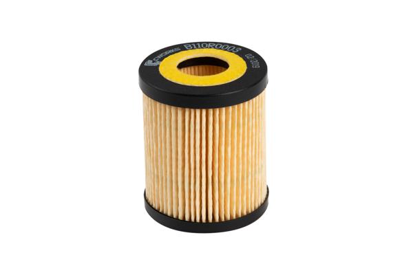 B110R0003