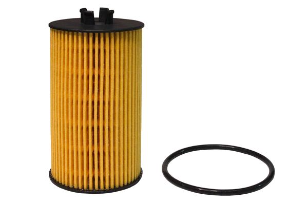 B16CR0019