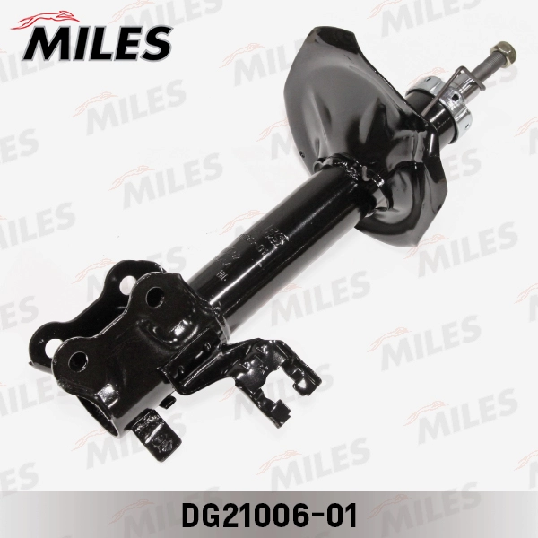 DG21006-01