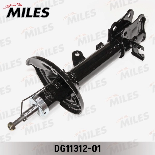DG11312-01