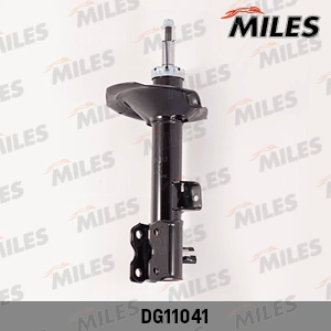 DG11041