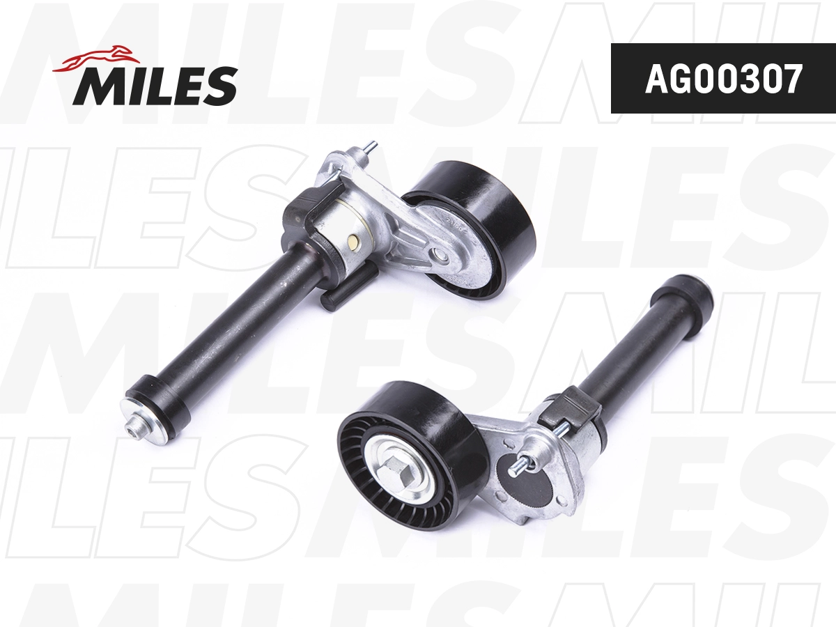 AG00307