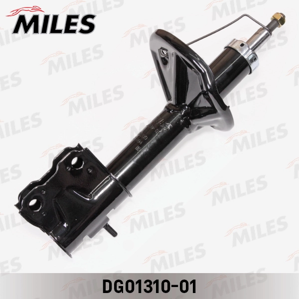 DG01310-01