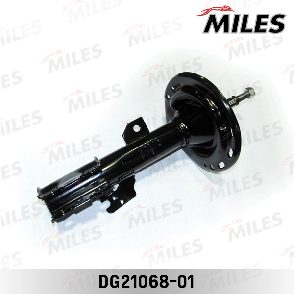 DG21068-01