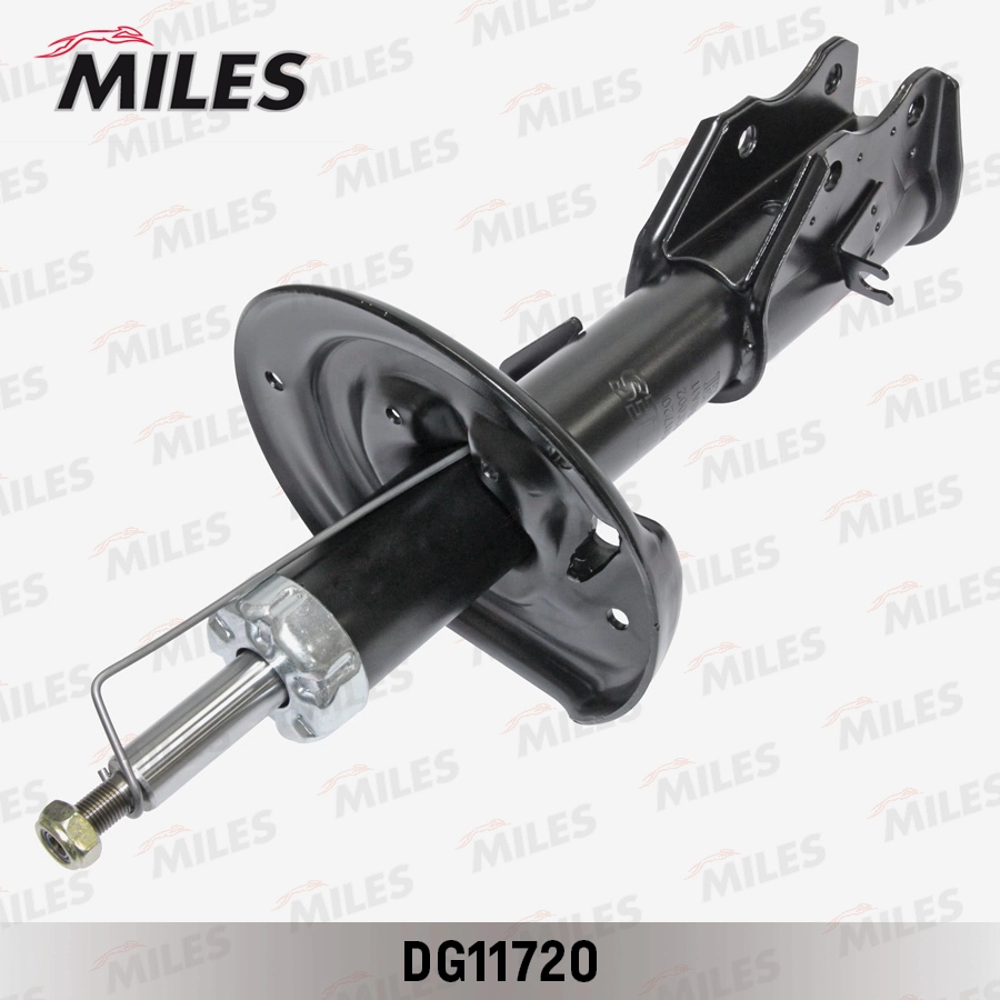 DG11720
