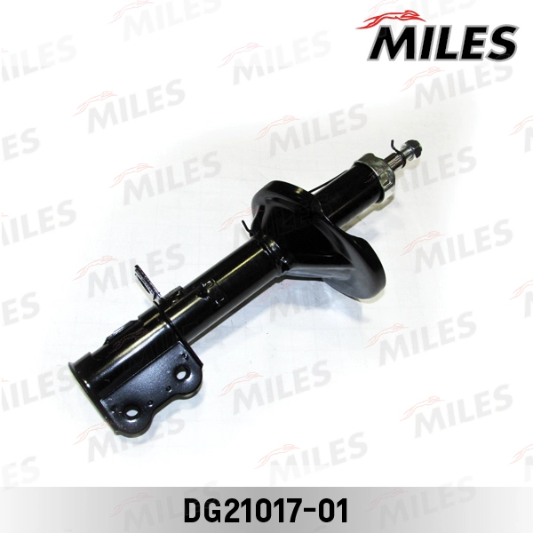 DG21017-01