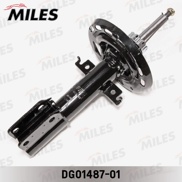 DG01487-01