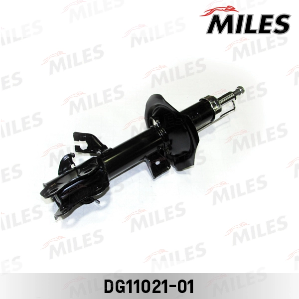 DG11021-01