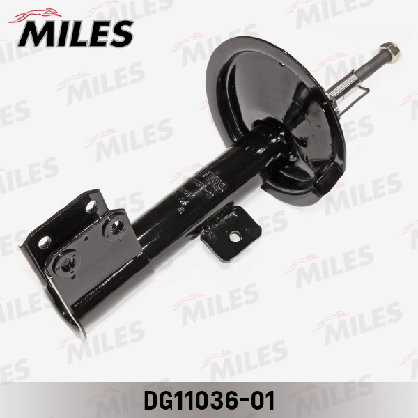 DG11036-01