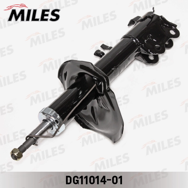 DG11014-01