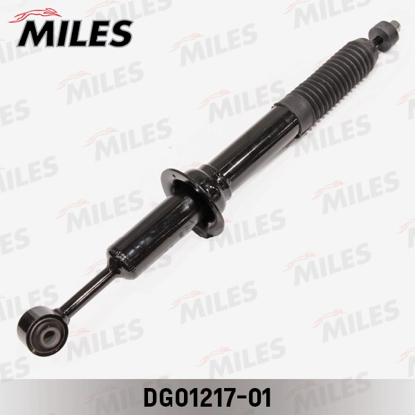 DG01217-01