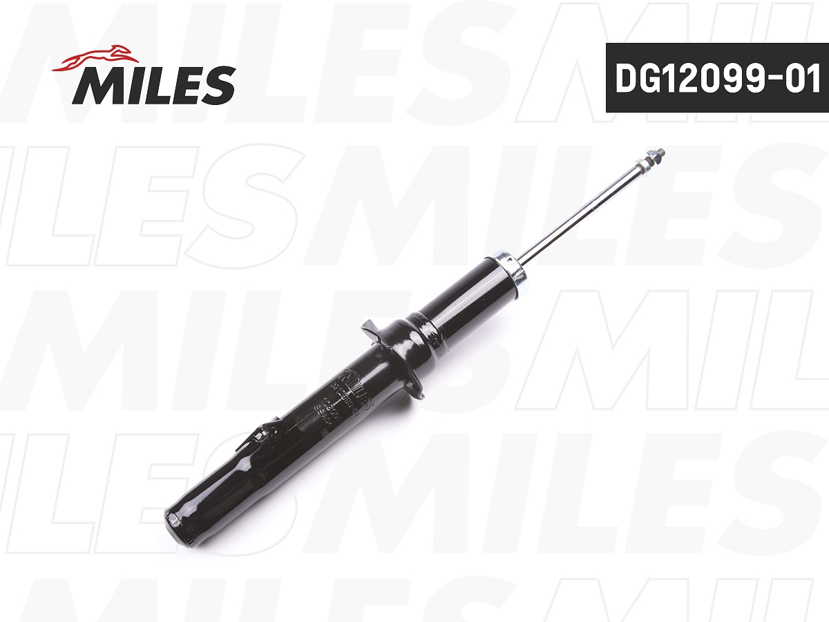 DG12099-01