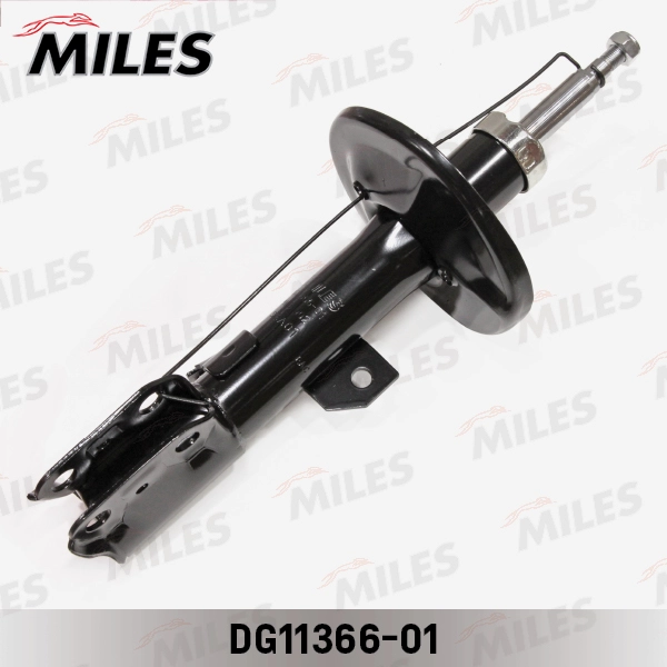 DG11366-01
