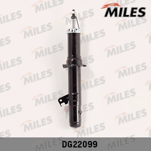 DG22099
