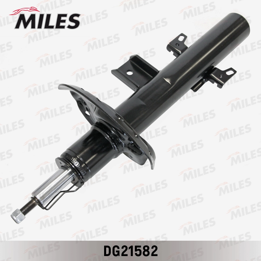 DG21582