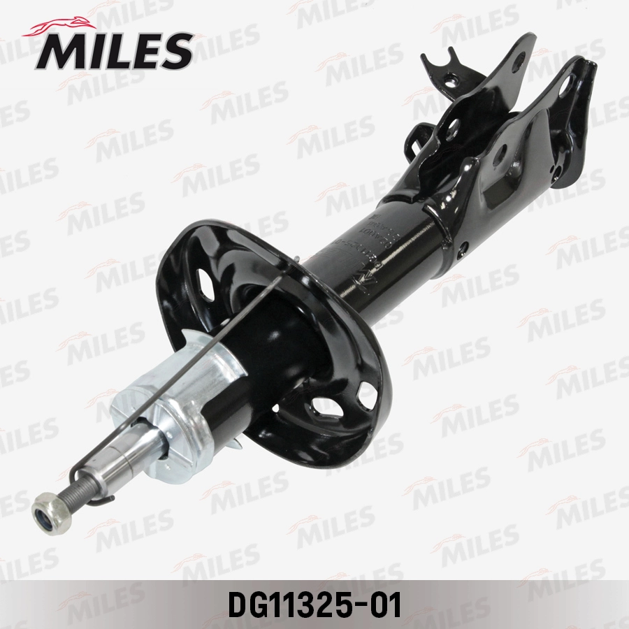 DG11325-01