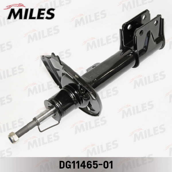 DG11465-01
