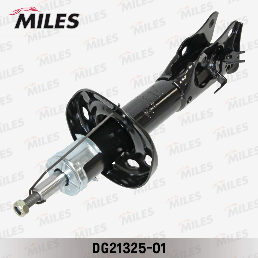 DG21325-01
