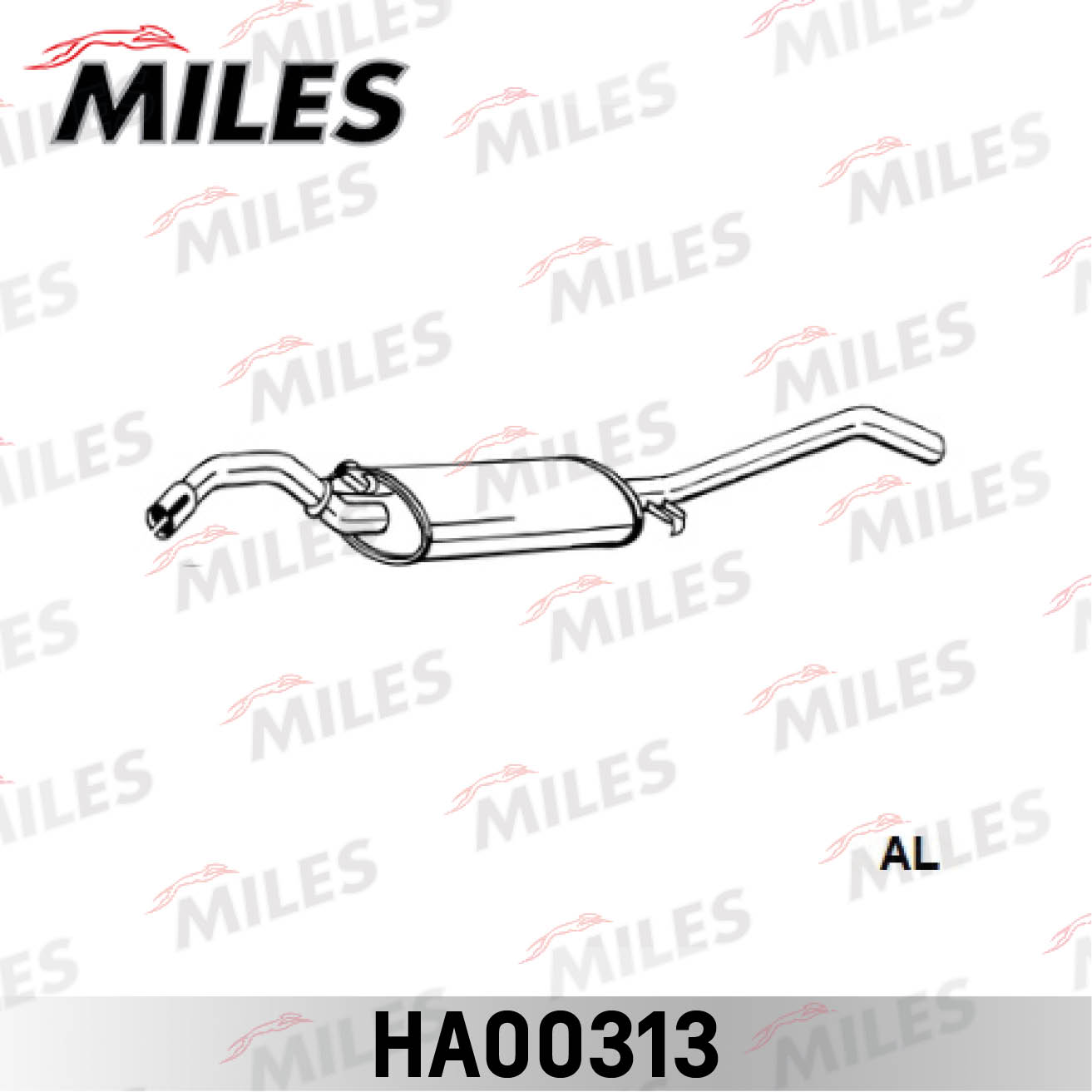 HA00313
